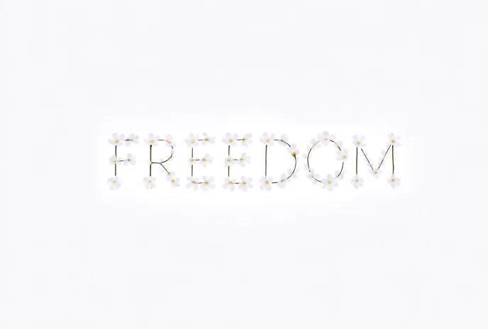 🛑 Share pleas شاركوا من فضلكم

SDF/P. K. K. K kidnaps and detain our "ch. i. l. dren"...
قسد\پـ.ـي...